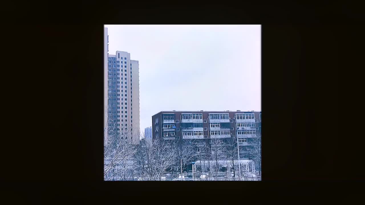 下雪了,窗外的世界,就是我的世界t