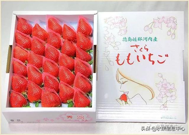 草莓包装大合集，这样的草莓吃不起(图17)