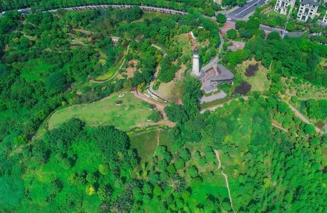 两江双晒|两江双晒 | 到开放两江，开启智慧之旅