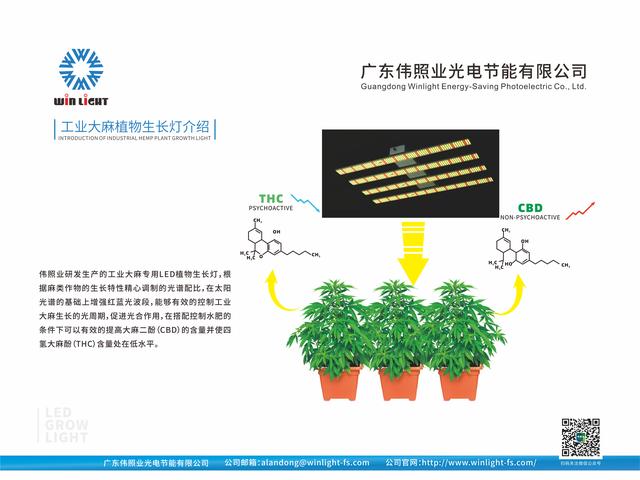 伟照业植物生长灯出现在广州光亚展，引行业瞩目插图6