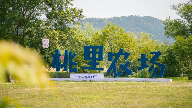 马鞍山【国庆可用】马鞍山濮塘99桃里度假村 小资&亲子游宝藏地!