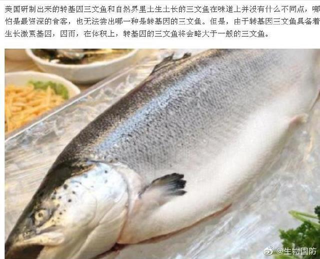 美国转基因三文鱼: 不能生育, 不准在美国养殖