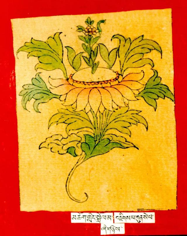 二十一尊度母的心咒、功德、手帜！ 图107