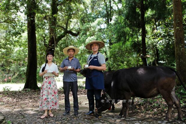 山村古稀老人放牛运垃圾住别墅还有工资拿，幸福生活太羡慕（7）