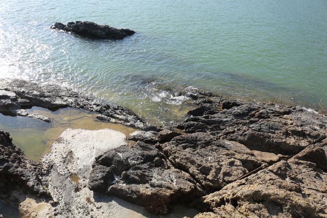 【鹿西岛】浙江一座偏僻小岛，盛产生态大黄鱼，远离城市喧嚣几乎夜不闭户