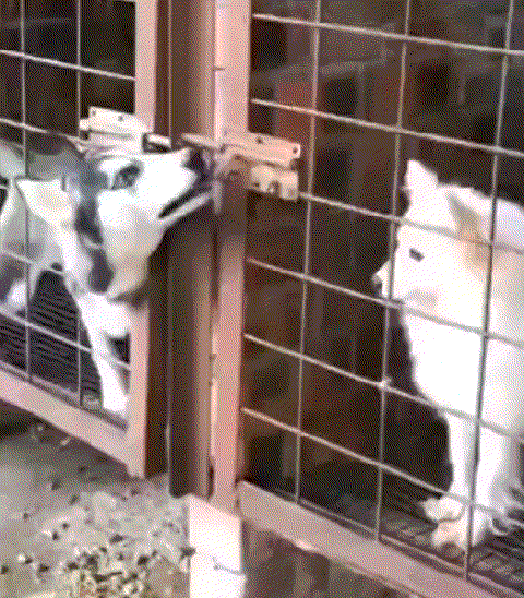 dϤ:YϬOyӤFA]Lkwjc@W@U]I