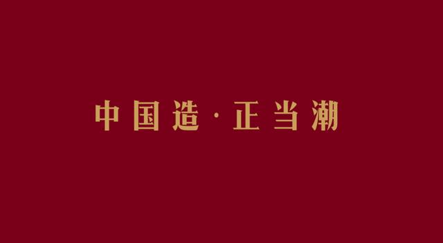 国潮风的地方特产礼盒包装设计，好看到想带回家(图31)