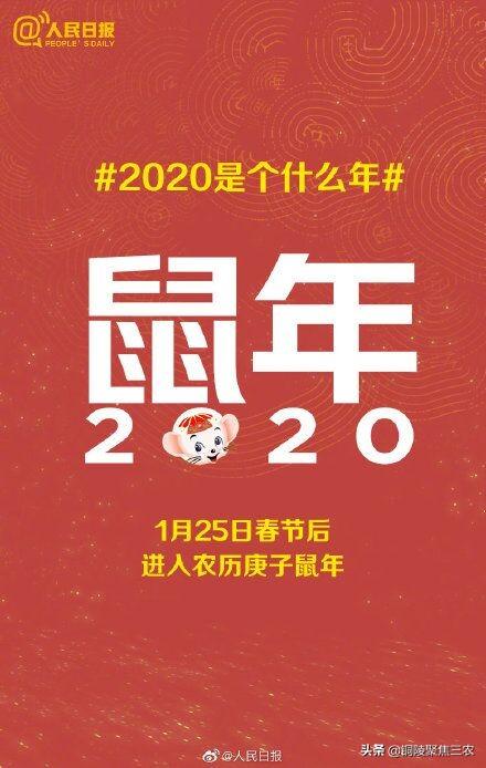 每个人都该知道的2020大事件