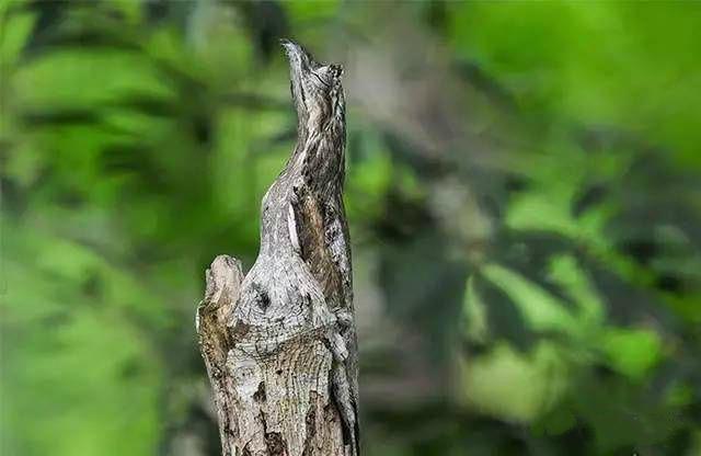 18禁无遮挡污视频全免费