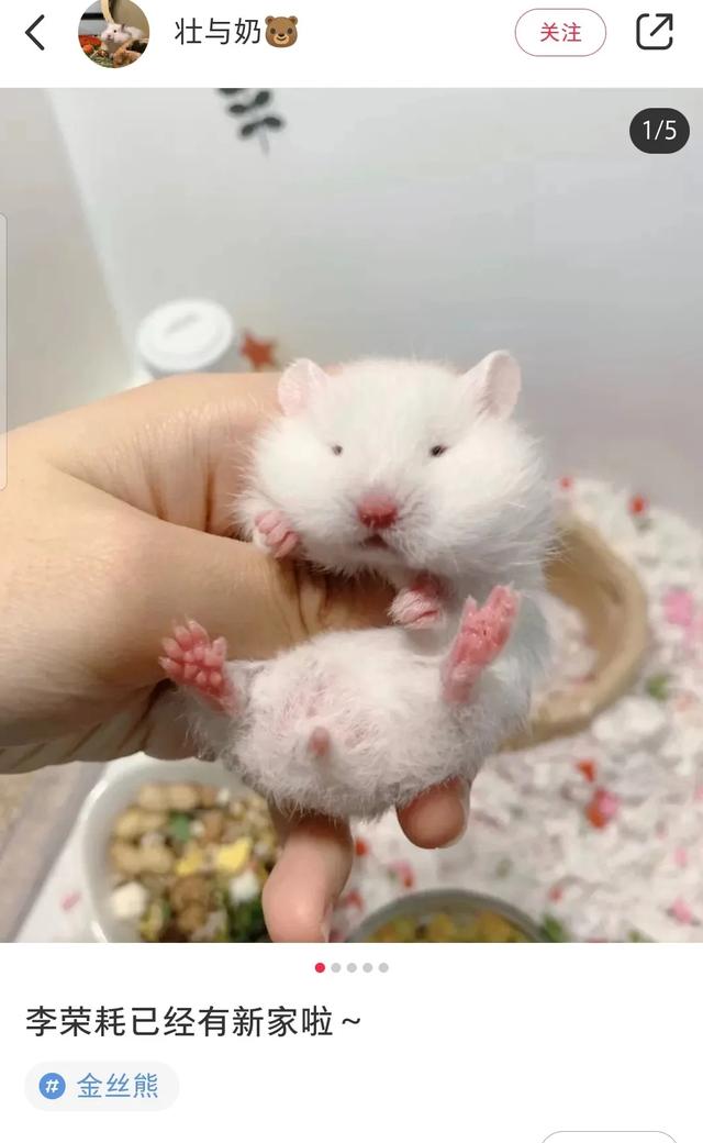 �B�ͫD�n�ԧڥh�ݨ��i���O���f�l�A�ں�O�����ѤF