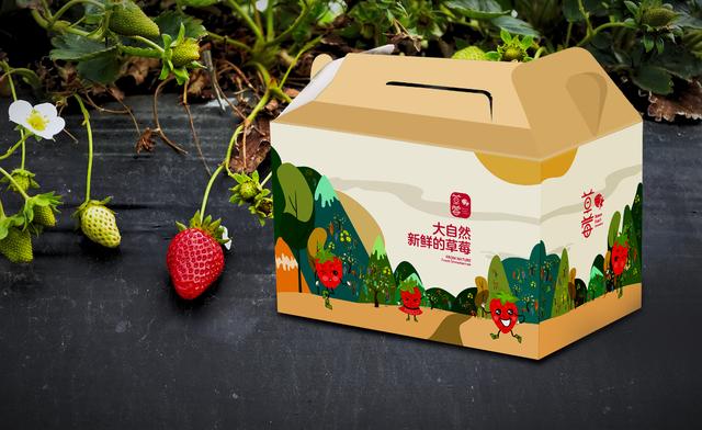 水果行业通用包装设计，插画包装设计，水果包装设计(图13)