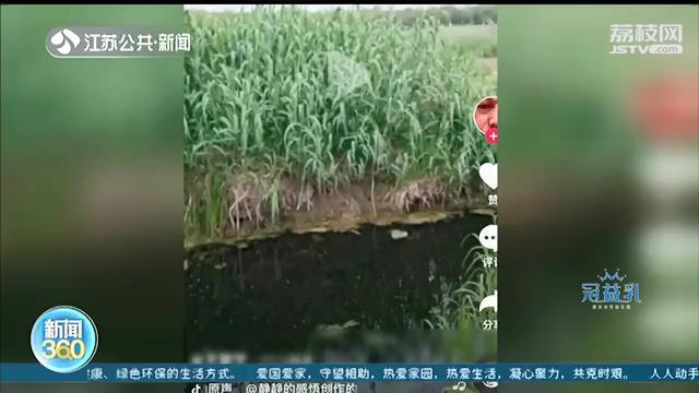 「视频」民警顺着视频里的环境找上门 神助攻！嫌疑人爱发短视频