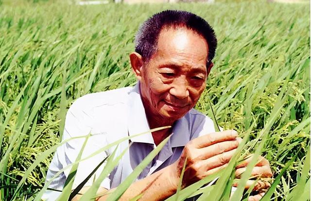 天府三中附小：国旗下讲话 丈量我的盘中餐