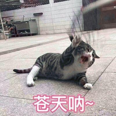 江津区|快叫家里人打钱！