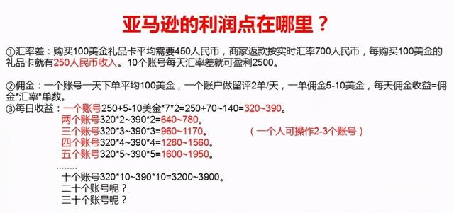 国外跨境电商亚马逊评测项目，月入十万靠谱吗？