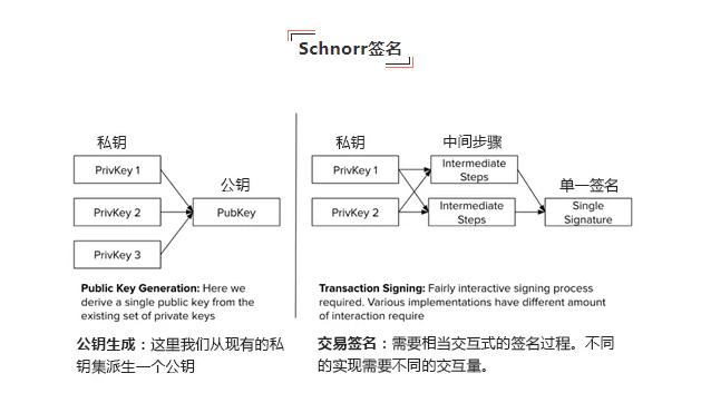 比特币现金在与比特币的技术竞争中走在了前列1