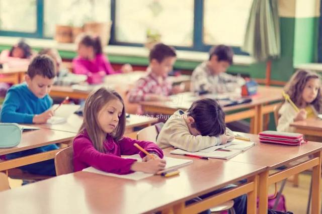 2020衡水幼儿园调查：60%以上月保育费超1k 连锁幼儿园成主流