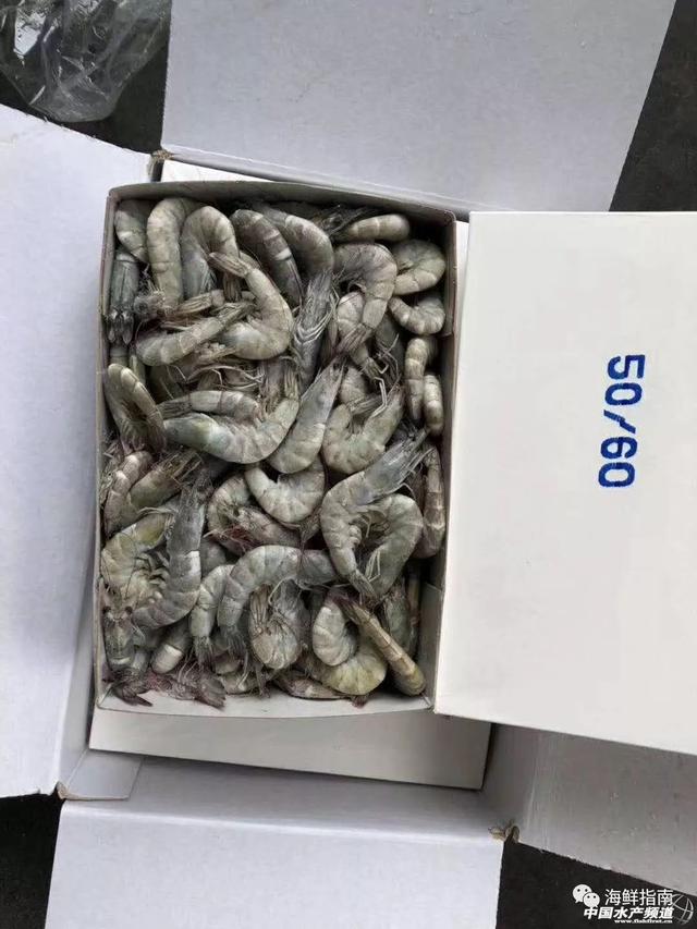 沙特虾面向中国推出小包装彩盒虾产品(图3)