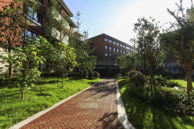 教育，因读书而精彩——天府新区华阳小学书香校园