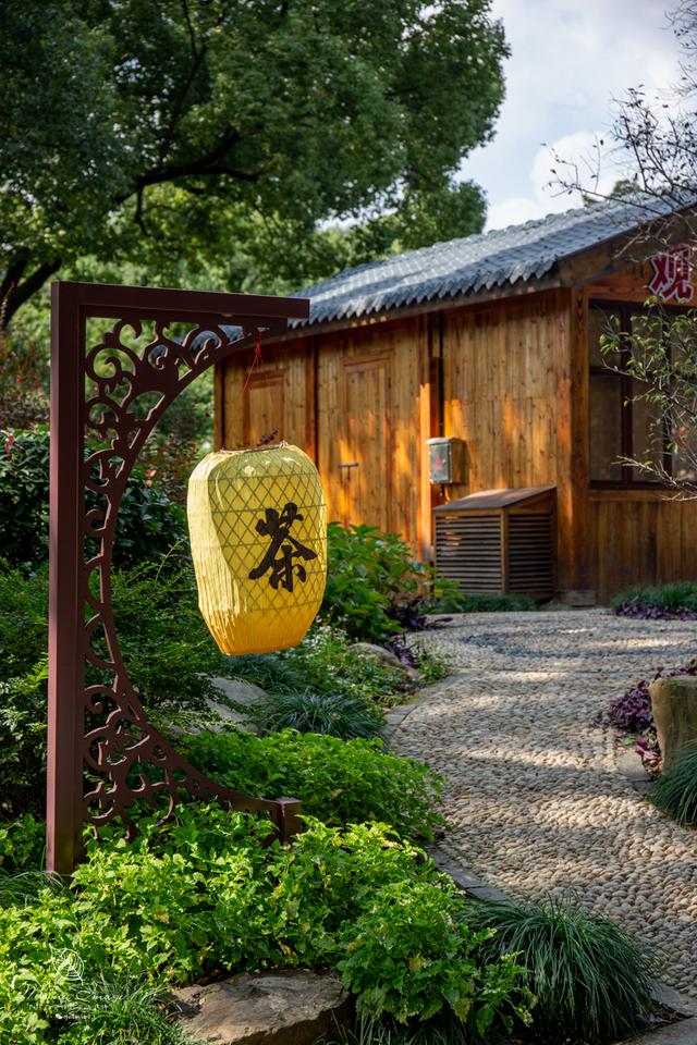 【无锡】百年梅园，无锡人对其有着深厚的情感，万株百合花丛中笑