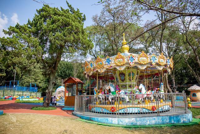 【无锡】百年梅园，无锡人对其有着深厚的情感，万株百合花丛中笑