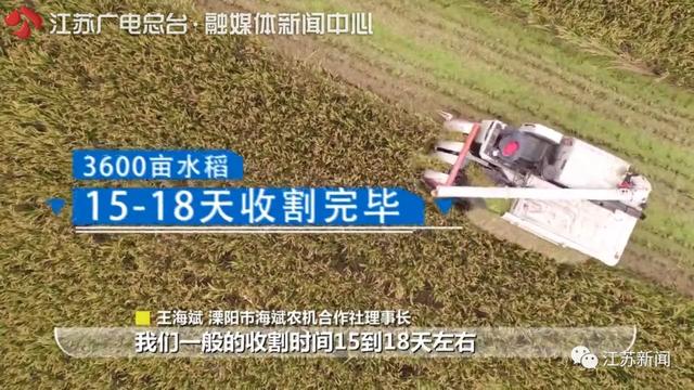 黄金时间■江苏用全国3.8%的耕地养活近6%的人口！秘诀就在于…