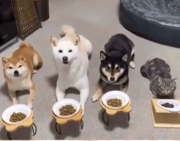 dϤ:YϬOyӤFA]Lkwjc@W@U]I