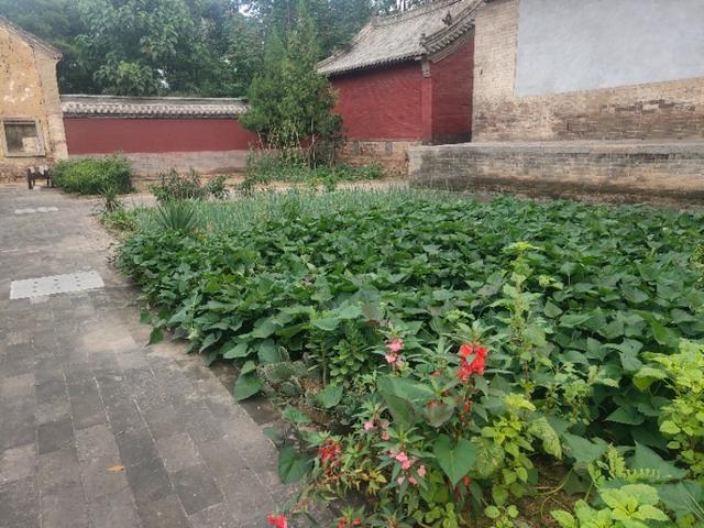 月亮古诗词第132集～作者/月亮的心（图5）