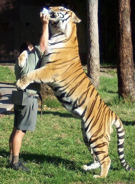 �z���϶��A�p�٤l�A�A���K�۫H�L�F�Y�I