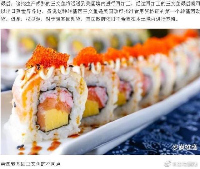 美国转基因三文鱼: 不能生育, 不准在美国养殖