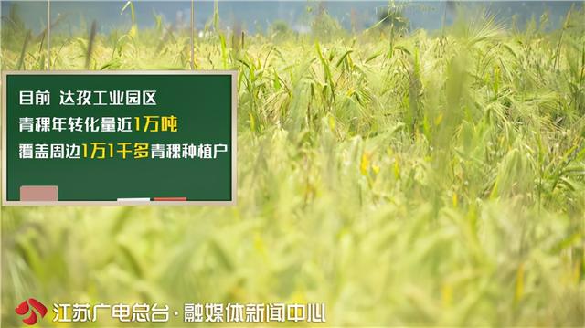 [青稞]无问西东】青稞如何上演致富“72变”？江苏援藏力量在雪域高原找到答案 【小康路上