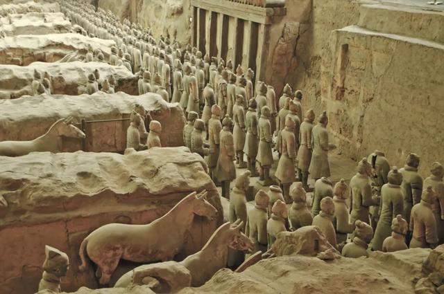 西安又火了李世民种下的这颗银杏树美了1400年每天上万人来看