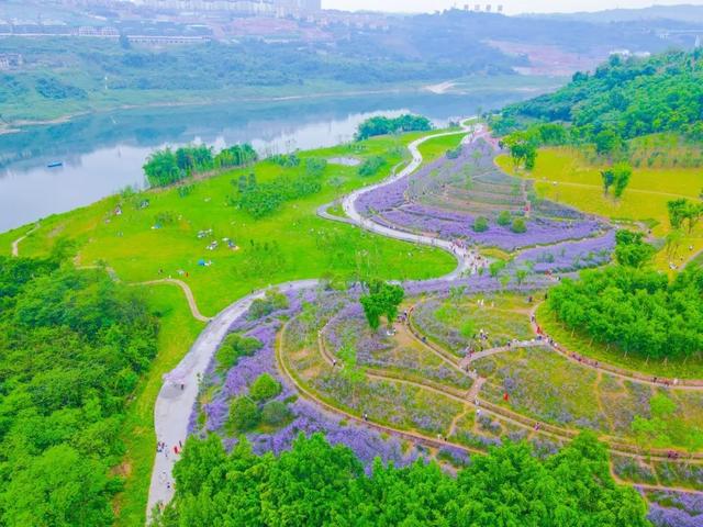 两江双晒|两江双晒 | 到开放两江，开启智慧之旅