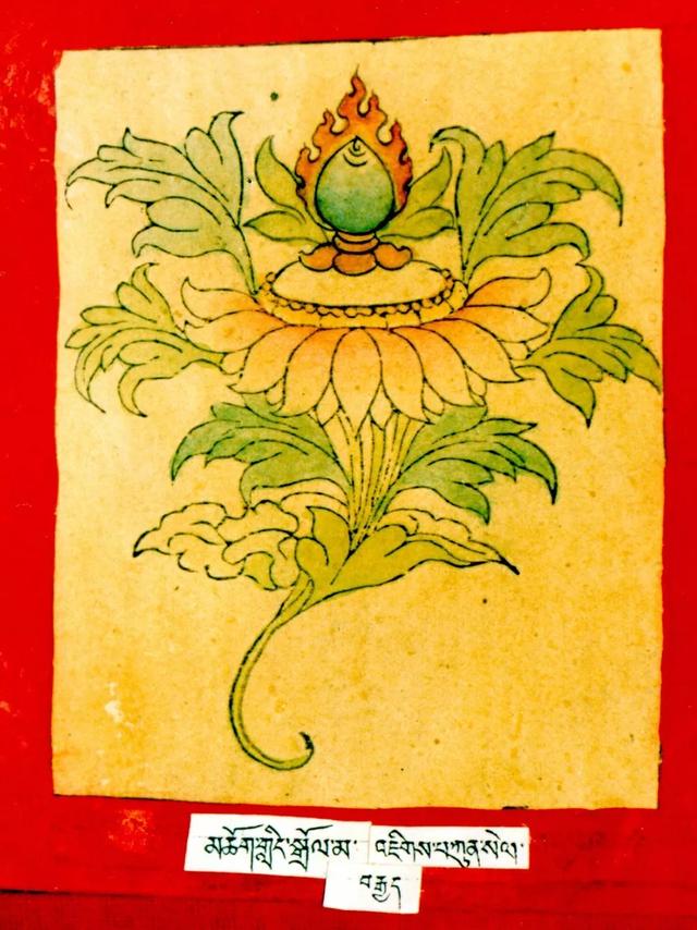 二十一尊度母的心咒、功德、手帜！ 图56