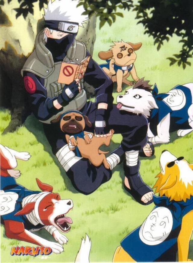 Naruto Kakashi S Psychic Beast Eight Ninja Dogs Has The Strongest Tracking Technique And Each Is A Famous Dog Luju Bar