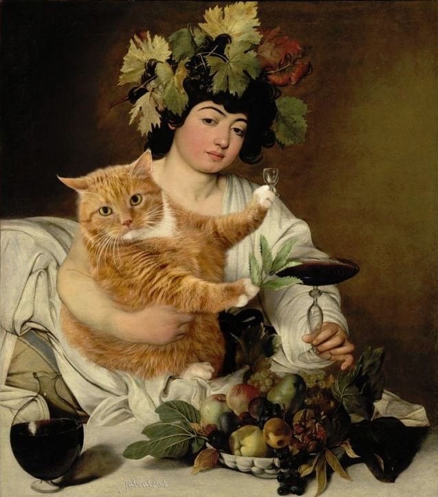 全世界最懂艺术的猫霸道闯入世界名画把所有人逗乐了