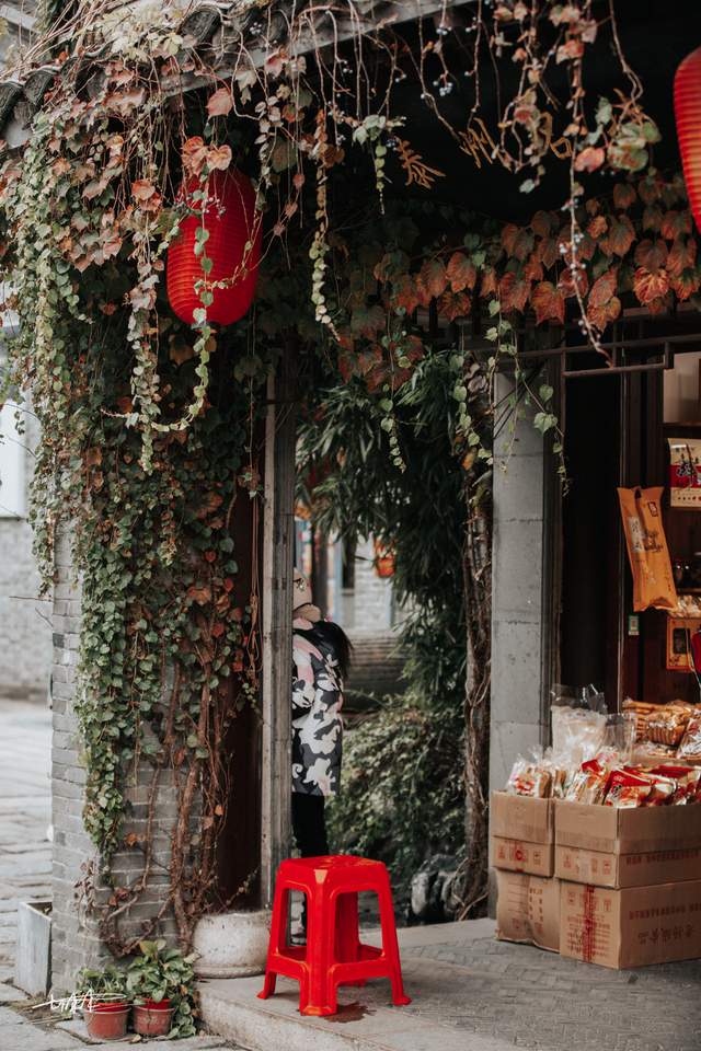 短短600米的泰州老街，装着这座城市的旧时光和老故事