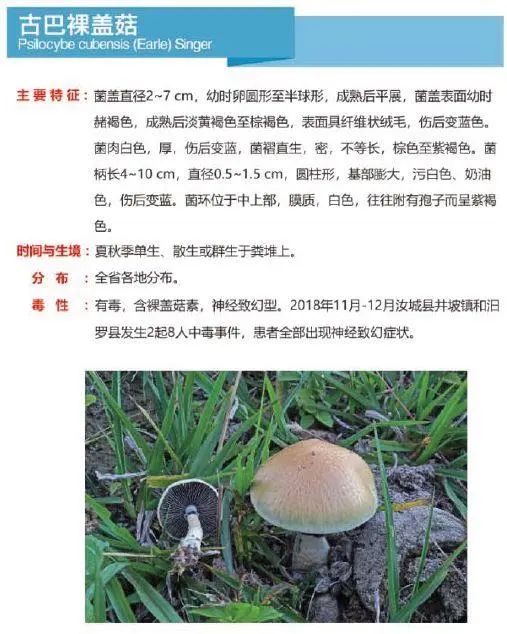 又到暴发季！湘潭人警惕，这东西碰不得（附有奖答题）