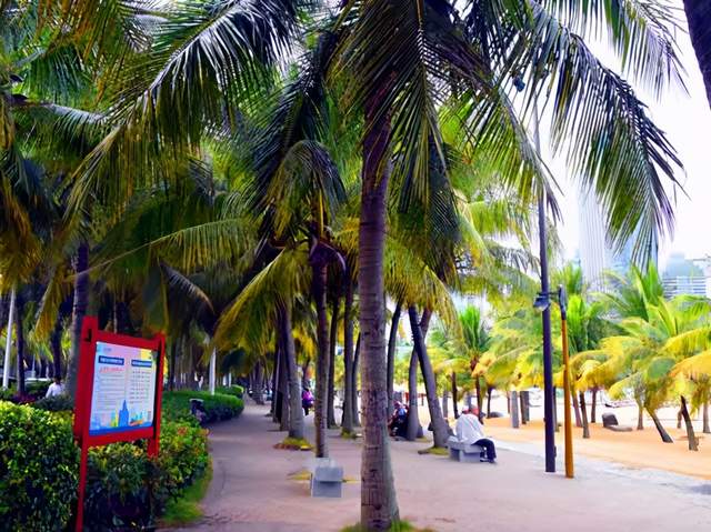 广东旅游 南极村之旅难忘湛江行 图 中华新闻网