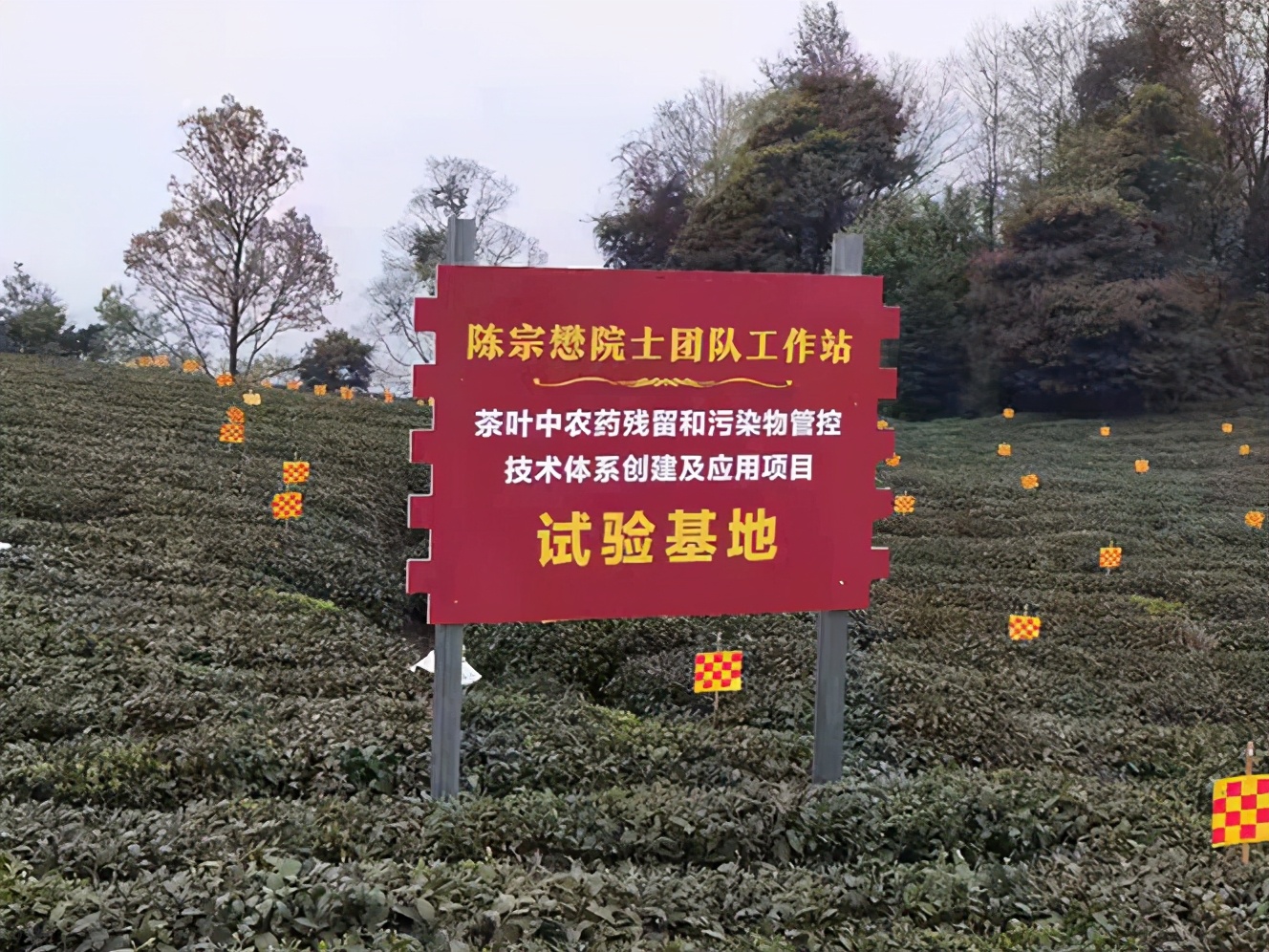 陈宗懋院士：用科技推动农产品质量提升