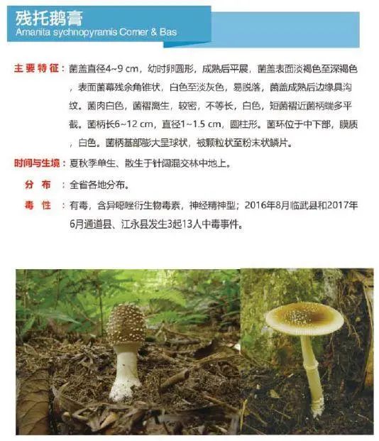 又到暴发季！湘潭人警惕，这东西碰不得（附有奖答题）