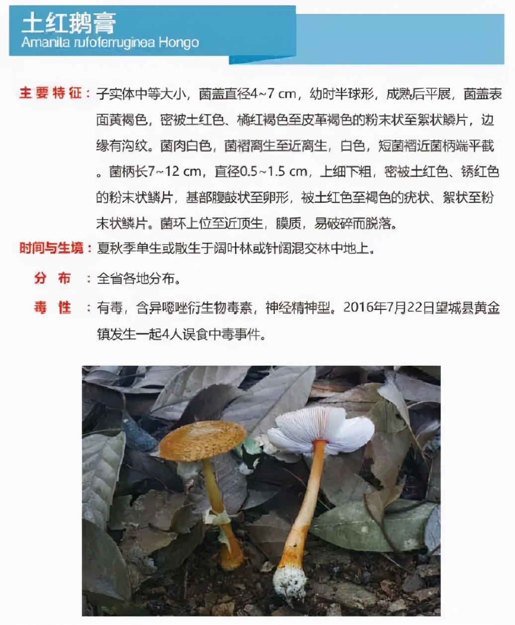 又到暴发季！湘潭人警惕，这东西碰不得（附有奖答题）
