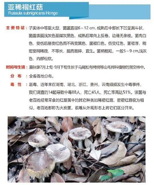 又到暴发季！湘潭人警惕，这东西碰不得（附有奖答题）
