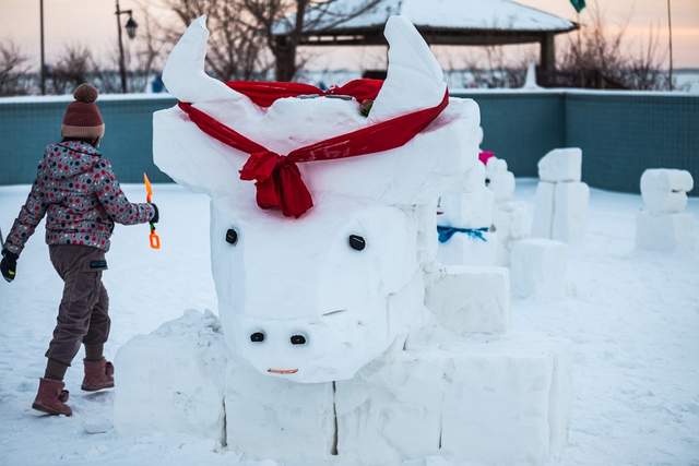 冬游杜尔伯特，一场冰火两重天的狂欢