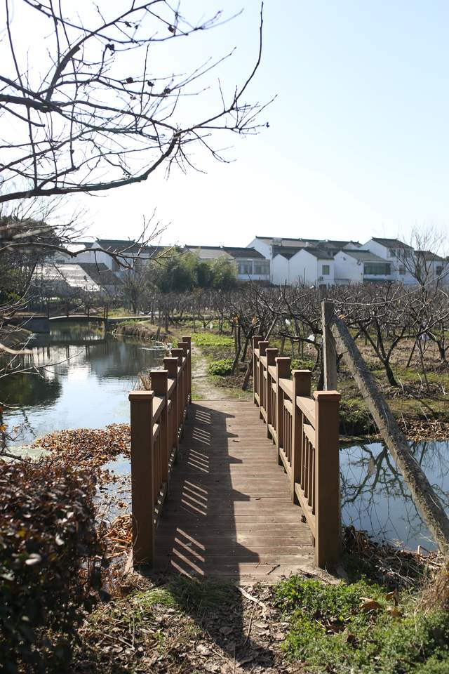 一群蒙古人雇佣兵，南下定居，成为苏南地区唯一的少数民族村落