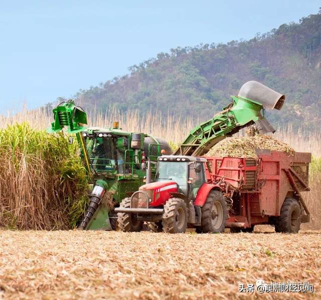 澳大利亚农业对世界意味着什么