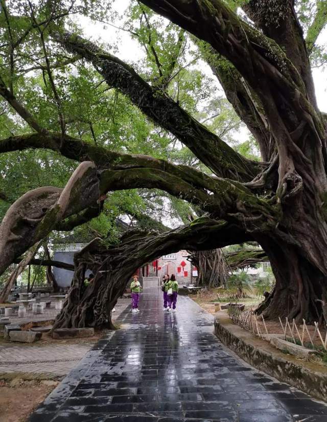 沙井街道2020年“蚝乡湖畔”美术摄影展在沙井街道党建中心圆满闭幕！(图16)