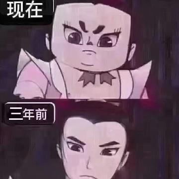 体坛小雨君