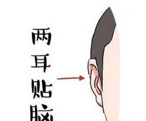 59所属栏目:耳朵两耳贴脑,天生就属于行大运,发大财的面相,是行业中的