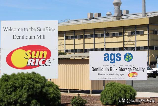 澳洲最大的大米公司SunRice说本季米价会“很高”